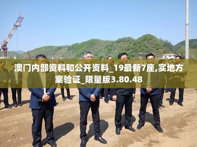 澳门内部资料和公开资料_19最新7座,实地方案验证_限量版3.80.48