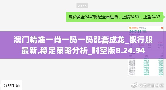 澳门精准一肖一码一码配套成龙_银行股最新,稳定策略分析_时空版8.24.94