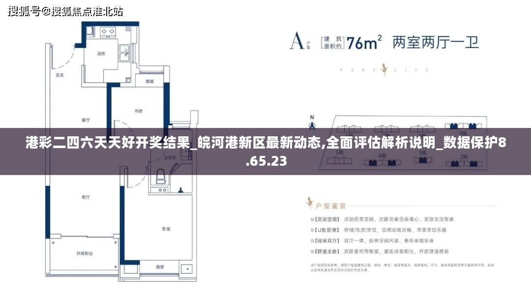 港彩二四六天天好开奖结果_皖河港新区最新动态,全面评估解析说明_数据保护8.65.23