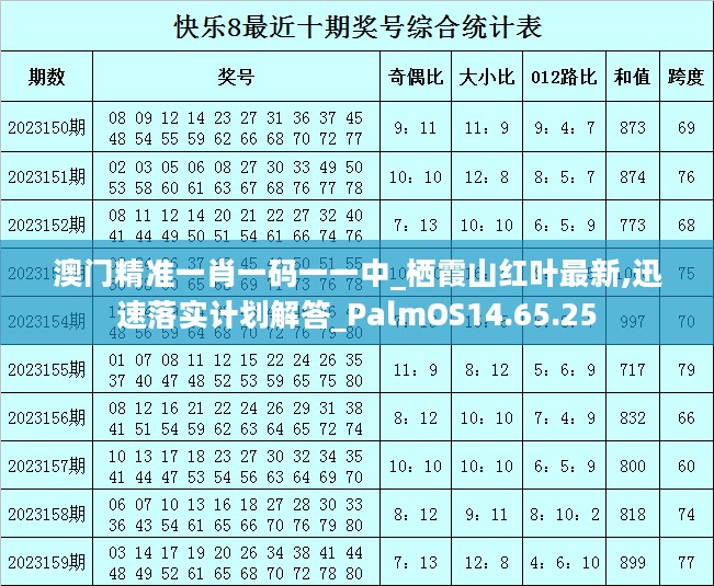 2024年11月 第2709页