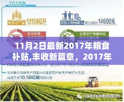 深度解读与影响回顾，2017年粮食补贴政策的新篇章与丰收影响