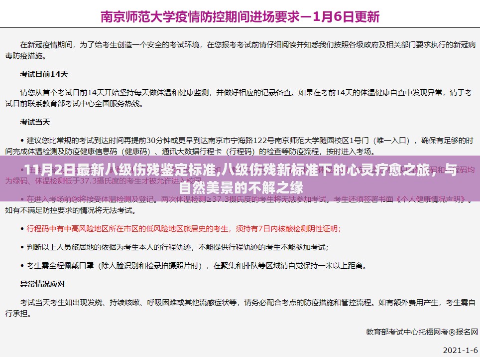 八级伤残新标准下的心灵疗愈与自然美景的不解之缘之旅