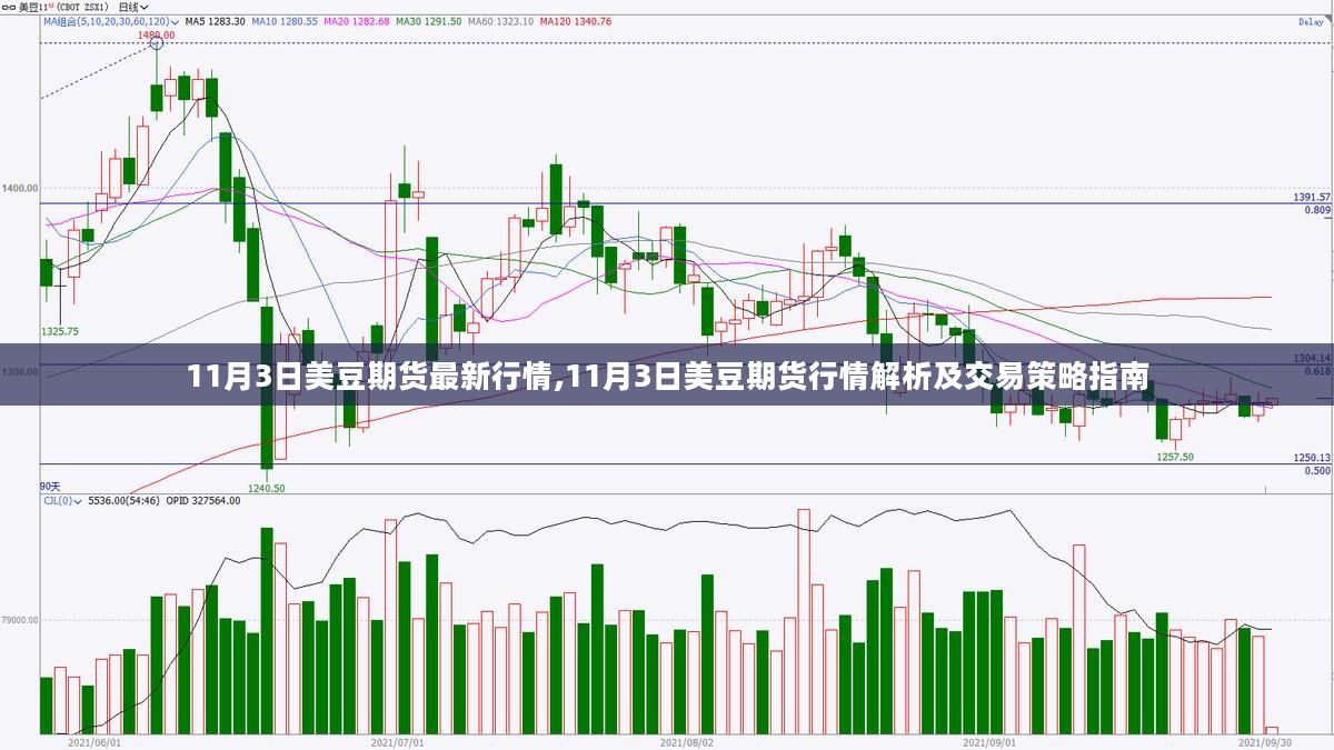 11月3日美豆期货行情解析及交易策略指南