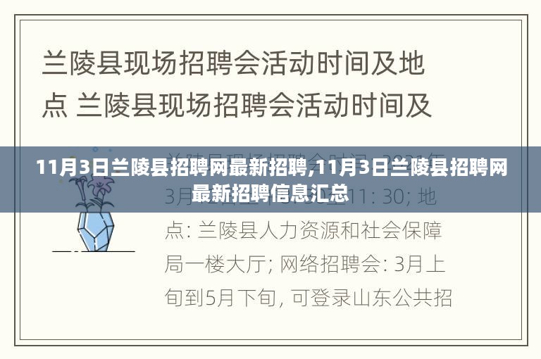 11月3日兰陵县招聘网最新招聘信息汇总