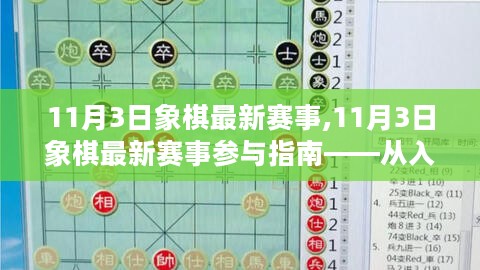 11月3日象棋最新赛事全解析，从入门到精通的参与指南