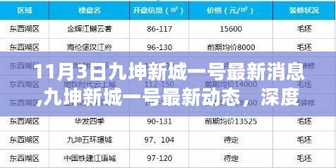 九坤新城一号最新动态揭秘，深度解读与观点碰撞