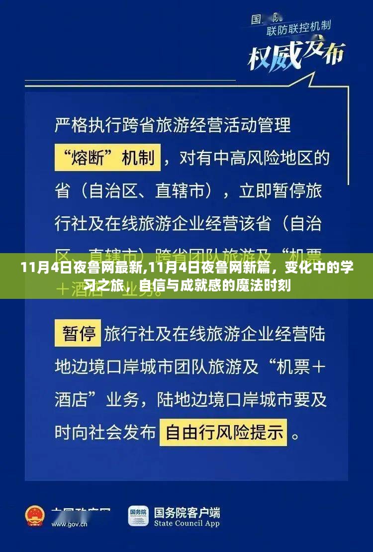 11月4日夜鲁网新篇章，变化中的学习之旅与自信成就的瞬间