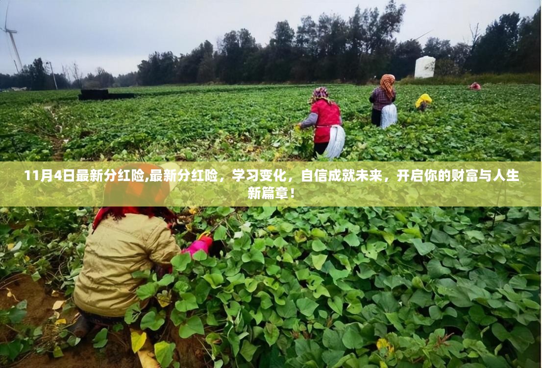 最新分红险学习变化，开启财富与人生新篇章，自信成就未来！