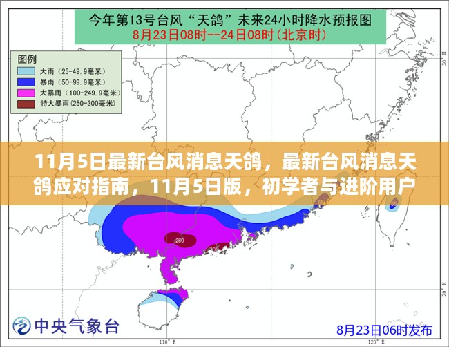 最新台风消息天鸽，应对指南与实时更新（适合初学者与进阶用户参考）