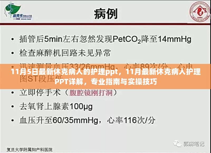 休克病人的护理PPT详解，专业指南与实操技巧（最新更新）