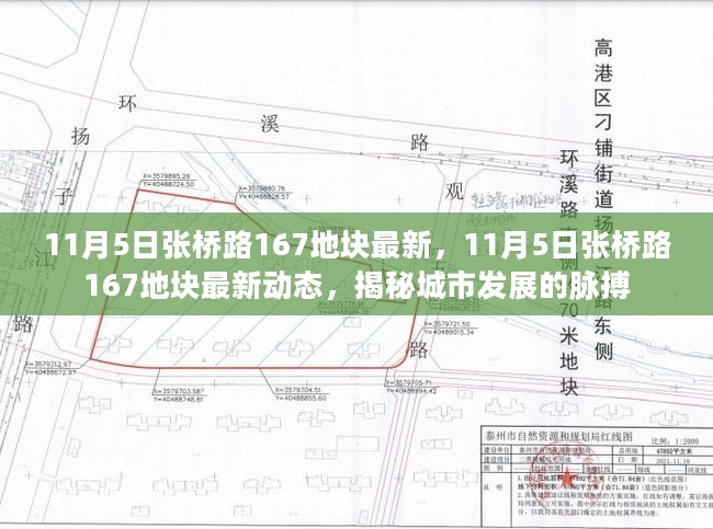 揭秘，张桥路167地块最新动态，感受城市发展的脉搏（11月5日更新）