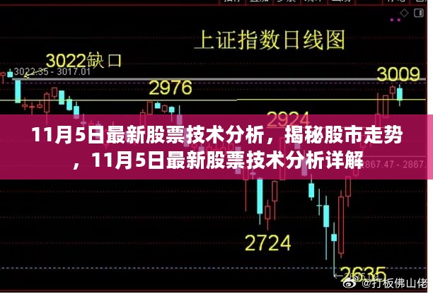 揭秘股市走势，最新股票技术分析详解（11月5日）