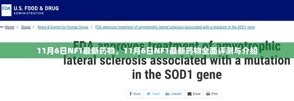 11月6日NF1最新药物全面评测与介绍