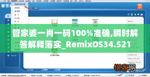 管家婆一肖一码100%准确,瞬时解答解释落实_RemixOS34.521