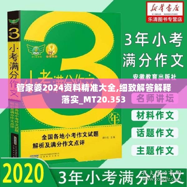 管家婆2024资料精准大全,细致解答解释落实_MT20.353