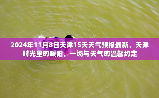 天津时光里的暖阳，天气预报与温馨约定，未来15天的天气展望（2024年11月8日）