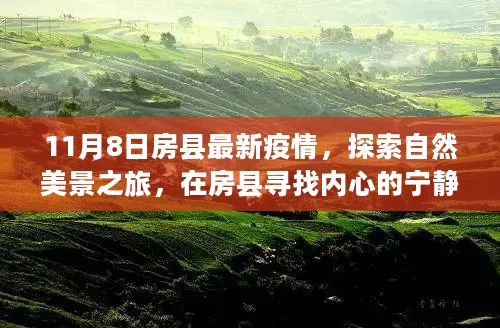 房县疫情观察与探索自然美景之旅，内心的宁静与疫情平和共存之道（最新更新）