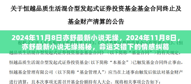 亦舒最新小说无缘，命运交错下的情感纠葛揭秘