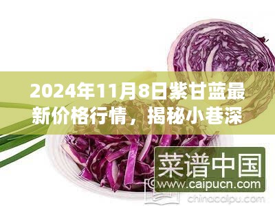 2024年紫甘蓝最新行情揭秘，小巷深处的宝藏与特色小店的独特魅力