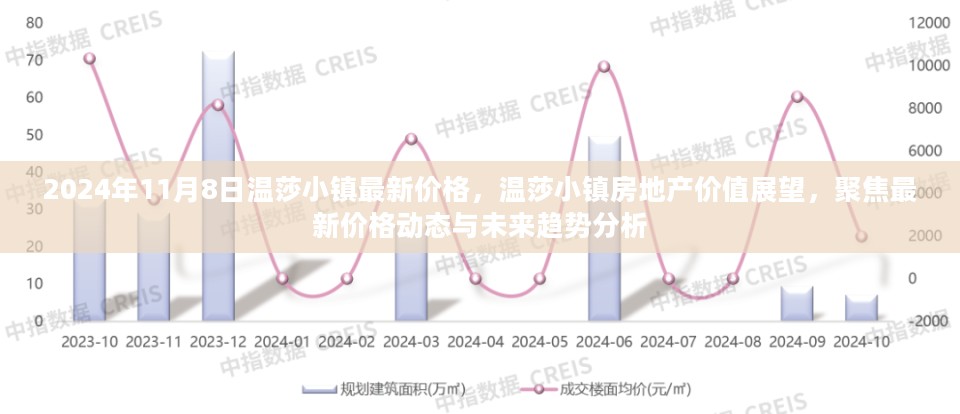 温莎小镇最新价格动态及未来房地产价值展望分析（2024年11月8日）