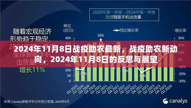 战疫助农最新动向，2024年11月8日的反思与展望