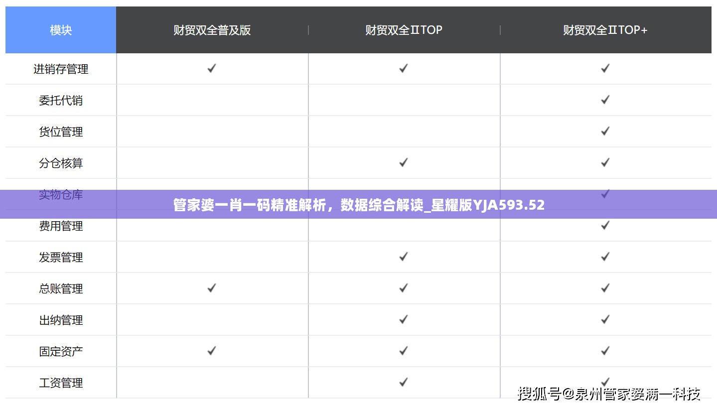 管家婆一肖一码精准解析，数据综合解读_星耀版YJA593.52