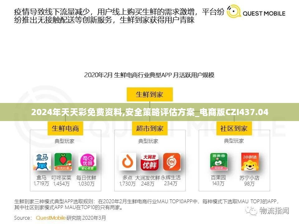 2024年天天彩免费资料,安全策略评估方案_电商版CZI437.04