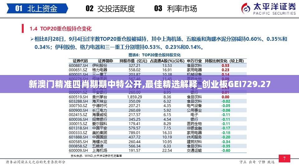新澳门精准四肖期期中特公开,最佳精选解释_创业板GEI729.27