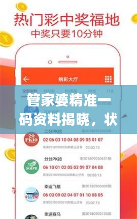 管家婆精准一码资料揭晓，状态评估及解读_智力版JST377.9