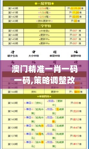 澳门精准一肖一码一码,策略调整改进_VMS27.156内容创作版