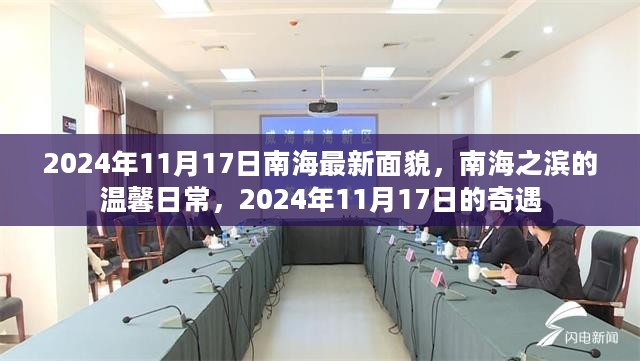 南海之滨的温馨日常与奇遇，2024年南海最新面貌揭秘