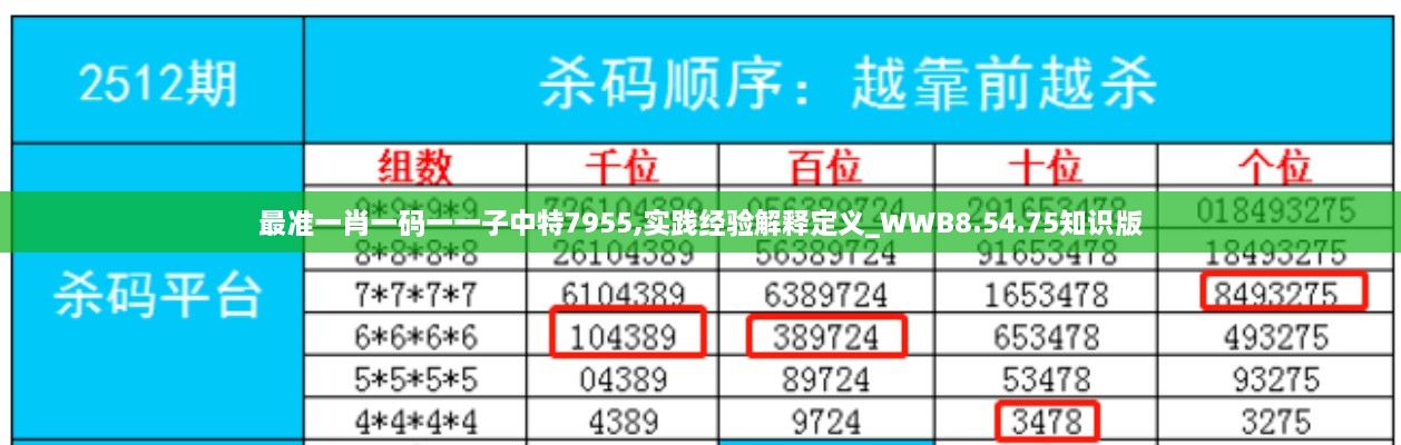 最准一肖一码一一子中特7955,实践经验解释定义_WWB8.54.75知识版