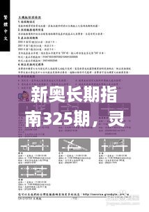 新奥长期指南325期，灵活解答与方案解析_OUO6.75.45解放版