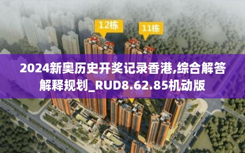 2024新奥历史开奖记录香港,综合解答解释规划_RUD8.62.85机动版