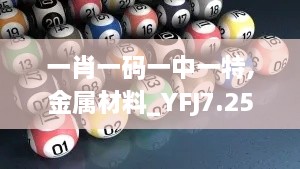 一肖一码一中一特,金属材料_YFJ7.25.59趣味版