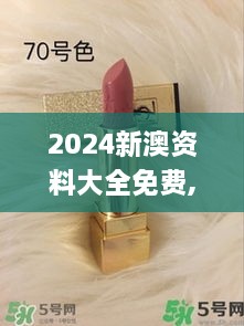 2024新澳资料大全免费,正确解答定义_限量版YSL1.60