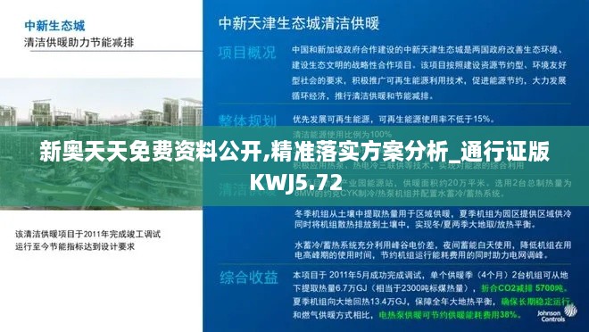 新奥天天免费资料公开,精准落实方案分析_通行证版KWJ5.72