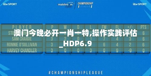 澳门今晚必开一肖一特,操作实践评估_HDP6.9