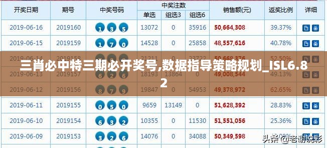 三肖必中特三期必开奖号,数据指导策略规划_ISL6.82