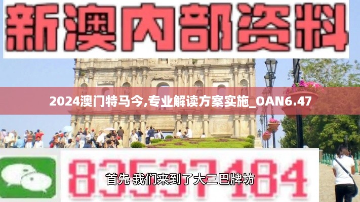 2024澳门特马今,专业解读方案实施_OAN6.47