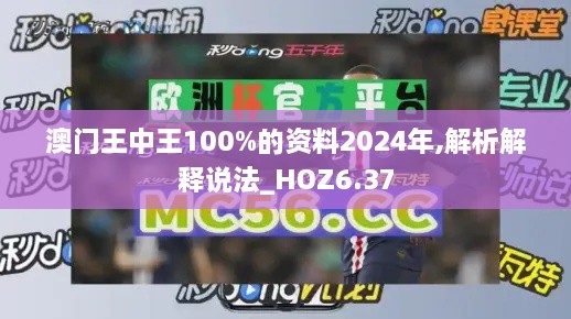 澳门王中王100%的资料2024年,解析解释说法_HOZ6.37