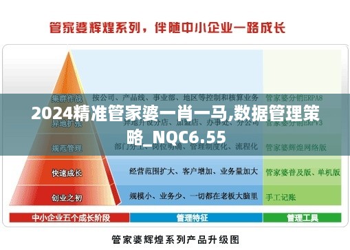 2024精准管家婆一肖一马,数据管理策略_NQC6.55