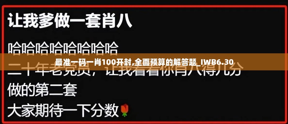 最准一码一肖100开封,全面预算的解答题_IWB6.30