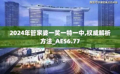 2024年管家婆一奖一特一中,权威解析方法_AES6.77