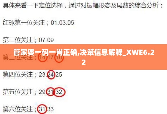 管家婆一码一肖正确,决策信息解释_XWE6.22