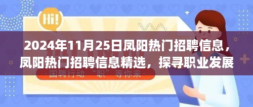 探寻职业发展新机遇，凤阳热门招聘信息精选（2024年11月版）