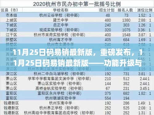 11月25日码易销最新版发布，功能升级与市场应用深度探讨