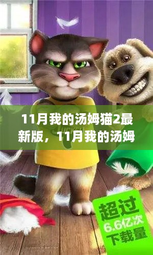 全面评测与介绍，11月我的汤姆猫2最新版