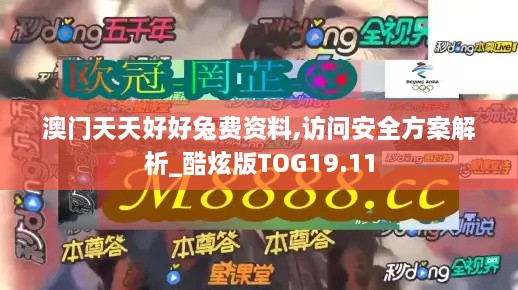 澳门天天好好兔费资料,访问安全方案解析_酷炫版TOG19.11